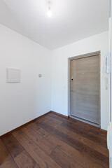Modern Interior Hallway Featuring Wooden Flooring and Minimalist Entry Door