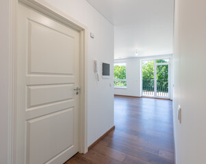 Modern Hallway Interior with Wooden Floor and Natural Light