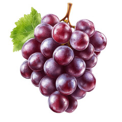 Fototapeta premium Ripe red grape cluster with green leaf set against a transparent background capturing the essence of fresh fruit, Ripe red grape on transparent