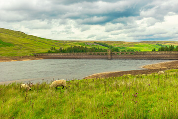 Scar House Reservoir in Summertime with very low water levels following no rainfall for many months.  Upper Nidderdale, North Yorkshire, UK.  Horizontal.  Copy Space