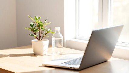 Fototapeta premium Small Indoor Plant and Spray Bottle on Wooden Desk