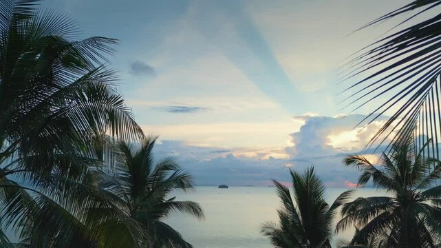 Drone flying through palm trees to sea. Crepuscular rays filtering through cloudy sky illuminate tranquil ocean scene, framed by swaying palm trees, creating serene tropical paradise at sunset
