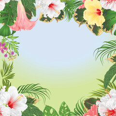 Frame tropical flowers  floral arrangement, with  red and yellow hibiscus and Brugmansia  palm,philodendron  vintage vector illustration  editable hand draw 