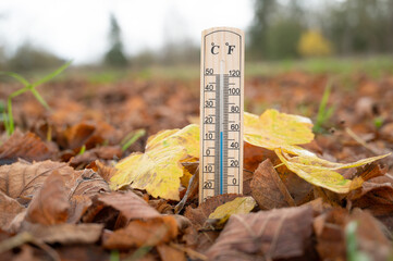 Thermometer with autumn foliage, fall season, measure the temperature, weather forecast, cold rainy...