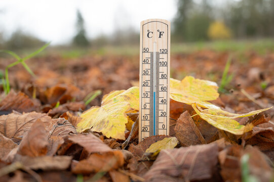 Thermometer with autumn foliage, fall season, measure the temperature, weather forecast, cold rainy day