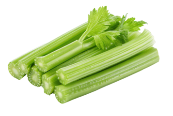 Fresh green celery stalks on a black background, isolated close up vegetable image in high quality