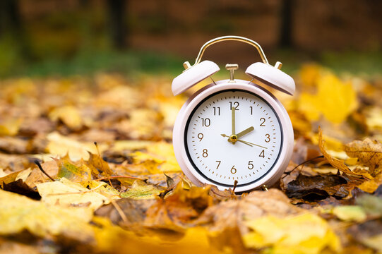 Winter time changeover, end of daylight saving time in autumn, alarm clock fall back switch,  forest with colorful foliage