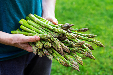 Asparagus