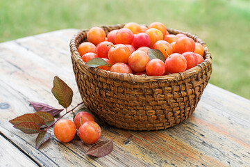 Red plum