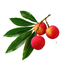 Red Lychees on Branch with Green Leaves isolated on a transparent background 1