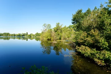 Zelfklevend Behangcirkel Pond  in the marshes of the lower valleys of the Juine and the Essonne river. Vert-le- Petit village  © hassan bensliman