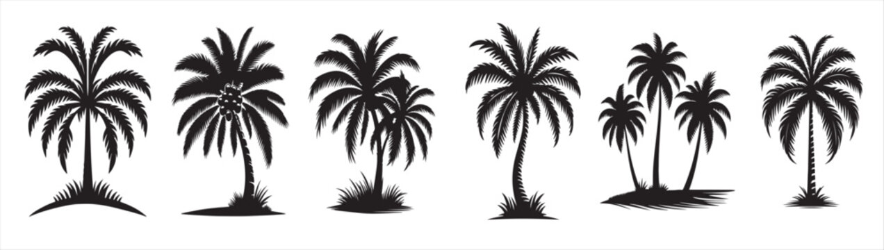 plam tree silhouette vector stylecoconut plam tree vectorr icon illustration