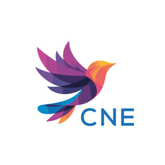 Obraz premium CNE “Colorful Abstract Bird Logo Design on White Background ” CNE Later Logo, “Modern Gradient Bird Icon with Typography” “Abstract Hummingbird Style Logo with Vibrant Colors” 