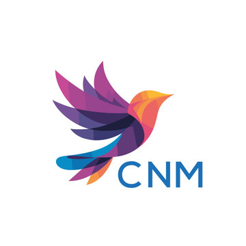 CNM &ldquo;Colorful Abstract Bird Logo Design on White Background &rdquo; CNM Later Logo, &ldquo;Modern Gradient Bird Icon with Typography&rdquo; &ldquo;Abstract Hummingbird Style Logo with Vibrant Colors&rdquo;
