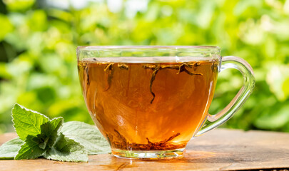 Freshly brewed herbal tea cup surrounded by vibrant greenery in a serene outdoor setting