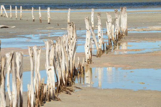 Weathered fenceposts leading off into a salt lake