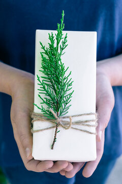 christmas gift of plain paper with pine sprig