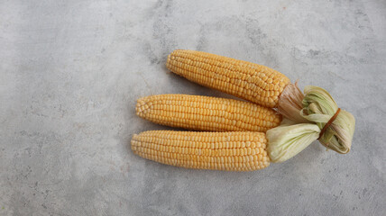 Fresh yellow corn isolated on grey background