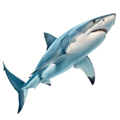 Fototapeta premium Blue Shark Isolated on Transparent Background