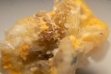 Close-up of red mold (Rhizopus oligosporus) growing on moist, spoiled rice. Shows fungal decay with...