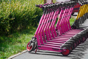 A row of pink electric scooters for rent parked on asphalt beside a grassy verge and hedge, ready...