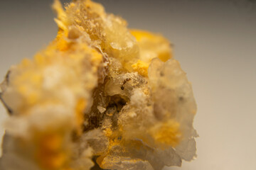 Close-up of red mold (Rhizopus oligosporus) growing on moist, spoiled rice. Shows fungal decay with...