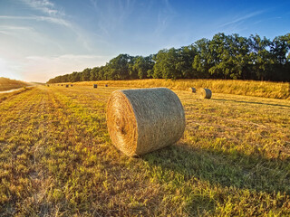 hay bales in the field
