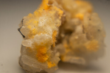 Close-up of red mold (Rhizopus oligosporus) growing on moist, spoiled rice. Shows fungal decay with...