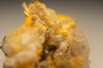 Close-up of red mold (Rhizopus oligosporus) growing on moist, spoiled rice. Shows fungal decay with...
