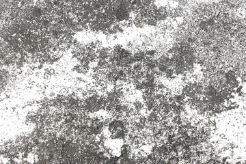 White and black grunge texture. Dirty concrete wall with rough stains and peeling surface. High contrast cracked background for vintage design. Distressed abstract pattern with grain and decay.