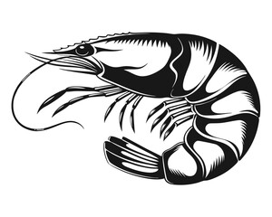 Artistic rendering of a large hand drawn crustacean presented clearly on a pale neutral backdrop suitable for diverse design applications