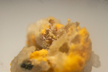 Close-up of red mold (Rhizopus oligosporus) growing on moist, spoiled rice. Shows fungal decay with...