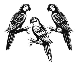 Fototapeta premium Artistic rendering of vibrant parrot birds showcasing a distinctive hand drawn aesthetic with bold color accents
