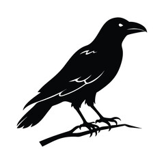 Fototapeta premium Striking black raven silhouette perched on branch, ideal for gothic, nature, or tattoo designs. High-quality vector art for versatile creative projects