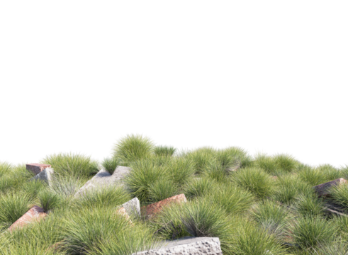 rubble brick wall and collapse building and grass