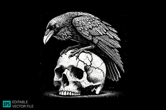 raven and skull tattoo designs dark art scary creepy style tattoo illustration vector black and white background templates