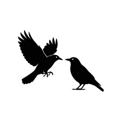 Fototapeta premium Two black bird silhouettes one in flight and the other standing on a white background design