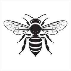 Fototapeta premium vector illustration of a bee