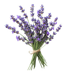 Obraz premium Beautiful bunch of lavender flowers with a white background showcasing their vibrant colors, Bunch lavender on white background