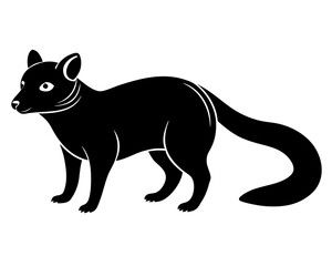 Obraz premium civet black silhouette on transparent background
