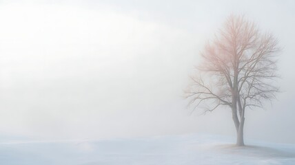 Fototapeta premium Solitary Winter Tree in Misty Landscape: Peaceful Nature Photography