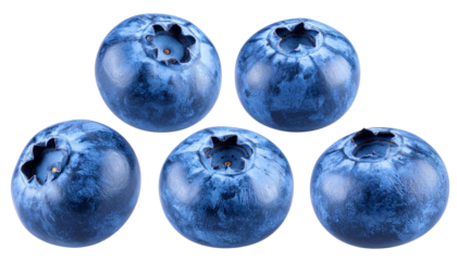 Five Fresh Blueberries Close Up Shot
