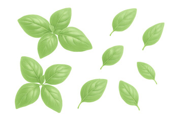 Fototapeta premium Realistic illustration of fresh green basil leaves falling against a transparent background, perfect for food and culinary designs