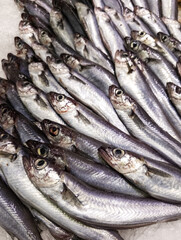 Fresh sardines at a market