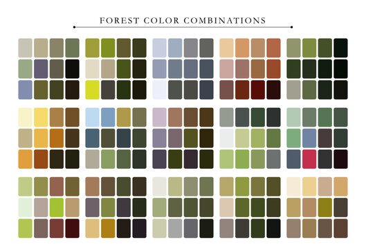 Aesthetic forest color palette with earthy tones, perfect for nature-themed design and digital art.