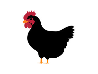 Hen vector icon Art & Illustration. hen vector, chicken vector. Black silhouette of a hen and chick icon vector. Cartoon chicken vector illustration .