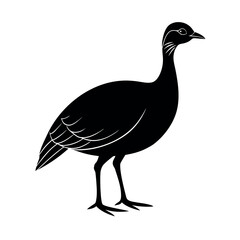 Great Tinamou Bird Silhouette
