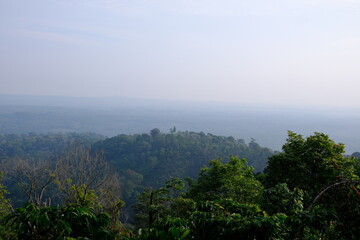 Misty Forest Vista: Lush Green Canopy and Distant Haze