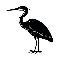 Purple Heron Bird Vector Art