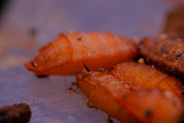 Tiny Fly Larva Captured Under Microscope, Forensic Evidence
